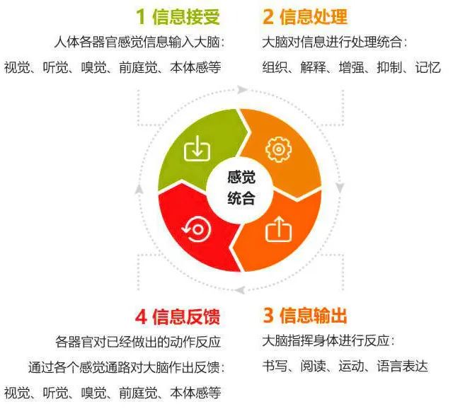 如何设计个性化的篮球训练方案以促进个体发展_2